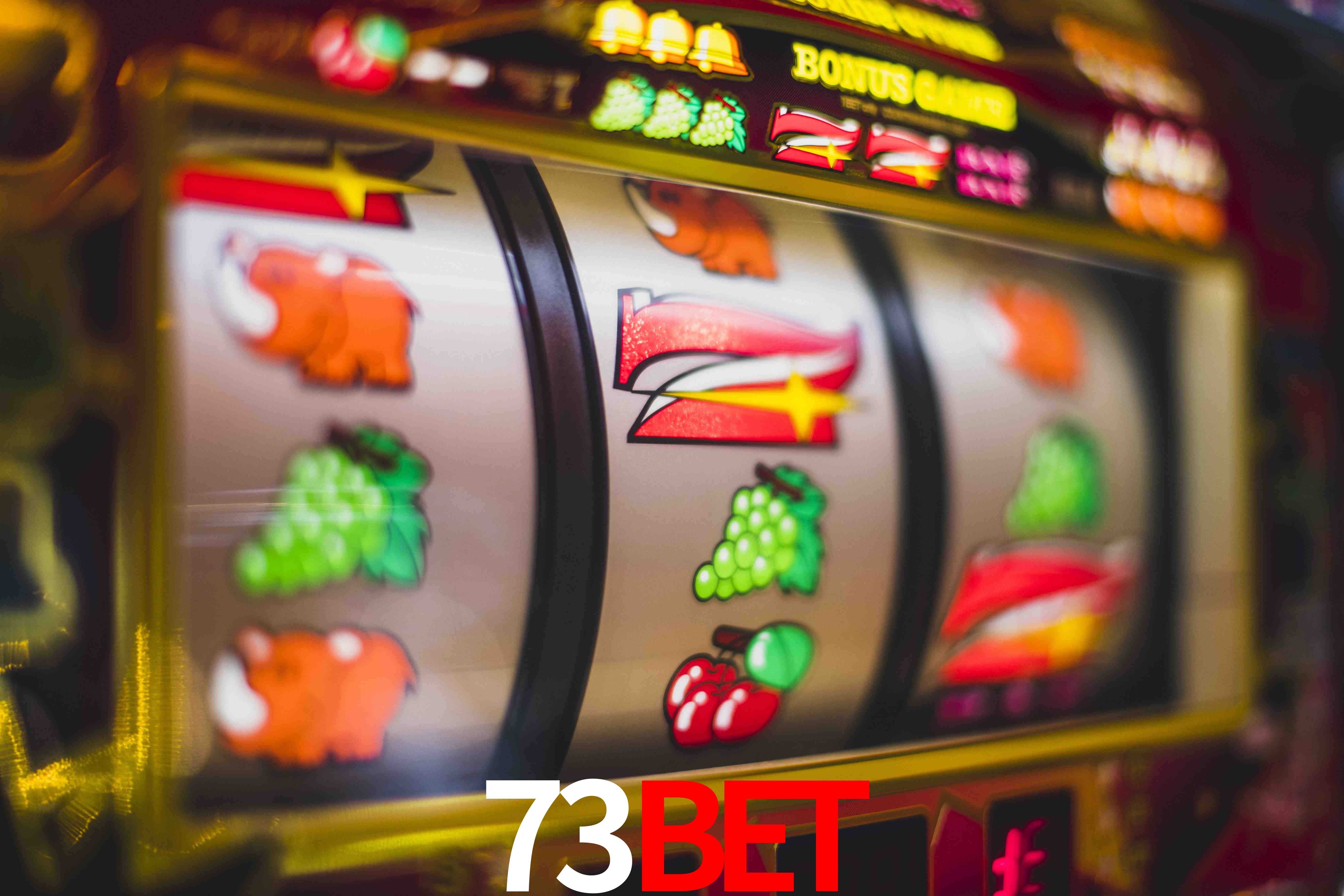 Basketball Betting 73bet